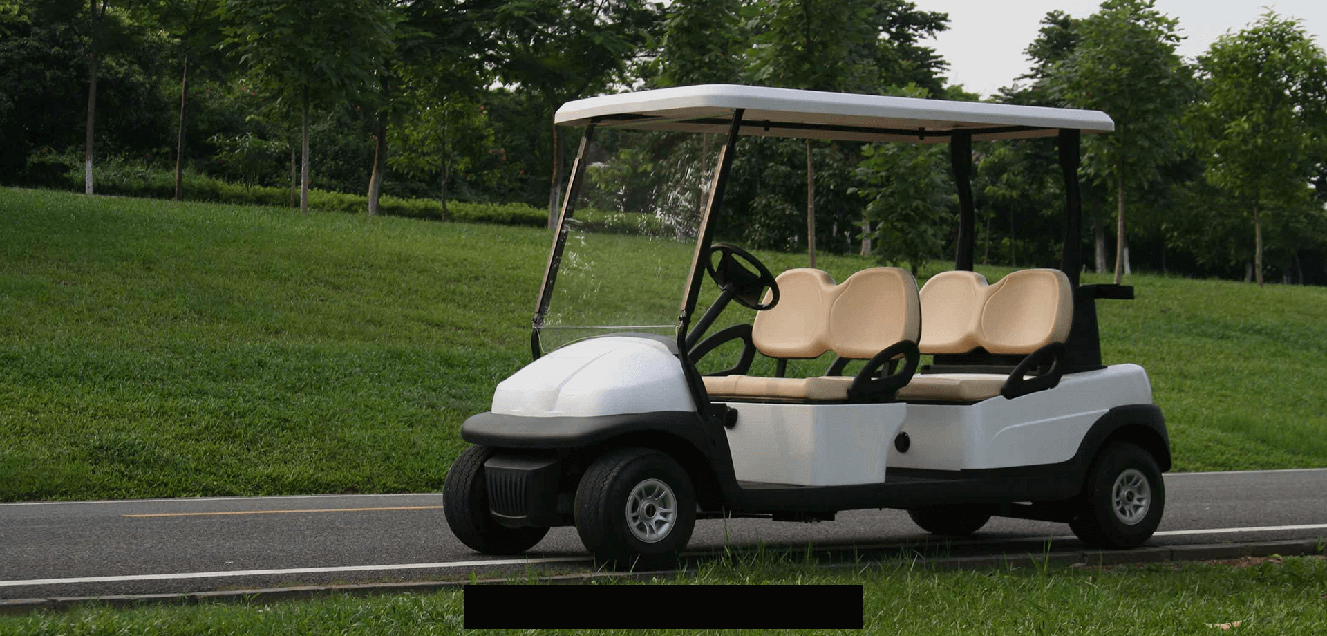 電(diàn)動(dòng)休閑与觀光(guāng)車輛